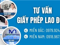 Thủ tục giấy phép lao động cho chủ sở hữu, thành viên góp vốn dưới 3 tỷ đồng