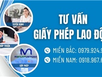 Thủ tục giấy phép lao động dành cho lao động thực hiện gói thầu dự án FDI